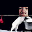 SHIPBEDOINGTHELAUNDRY emote