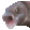OOOO