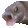 OOOO