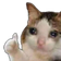 CatThumbs