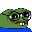 peepoNerd emote