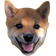 TophHappy