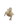 duckArrive emote