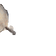 SealArrive