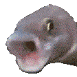 PogFish emote