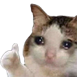 Sadcat emote