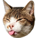 CatBlep at 2x