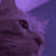 CatRave