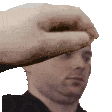 PETTHEFORSEN emote
