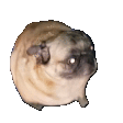 pugPls emote