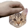 PETTHEPEEPO