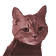 ChongHype