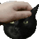 PETTHECAT - 56x56