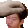 PetJoey