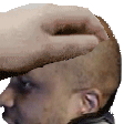 PETTHEDENT emote