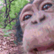 Lick emote