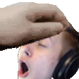 PETTHESYM emote