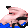 hachuDriving