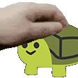 PetTheTortoise emote