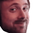 NOIDONTTHINKSO emote