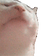 catJAM