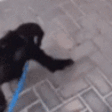 monkeyHug emote