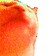 catJAMJAM