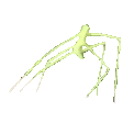 StickBug emote