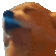 dogJAM - 56x56