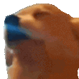 dogJAM - 112x112