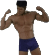 VanPls emote