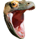 KomodoChomp