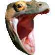KomodoChomp emote