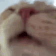 DRINK emote