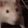 ratJAM