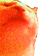 HYPERCATJAM