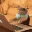 peepoChat emote