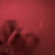 dogJam emote