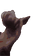 ferretJAM