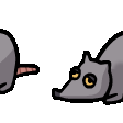 Ratot emote