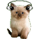 meowJAM