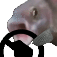 fishSTEER emote