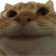 catYep