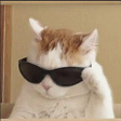 CatWicked emote