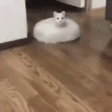Mods emote