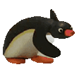 pinguDance emote
