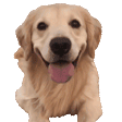 doggoLeave emote