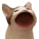 popCat