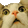 MEOWOW