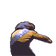 WorfPls
